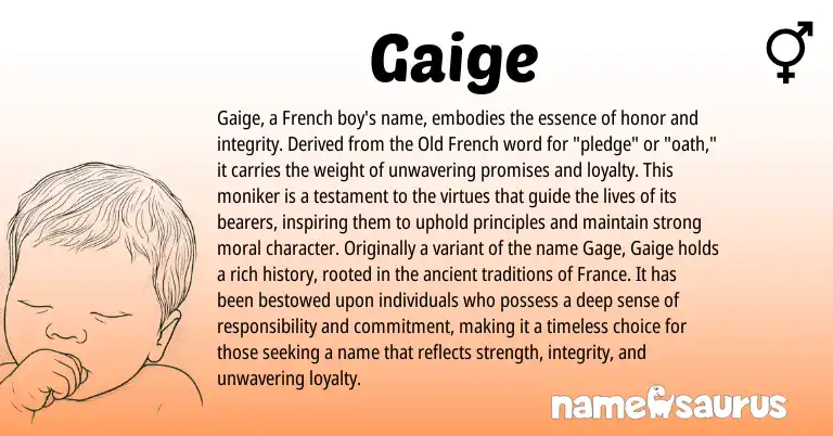 Infographic about Gaige name meaning, Gaige is a name from French, Old French origin(s).
