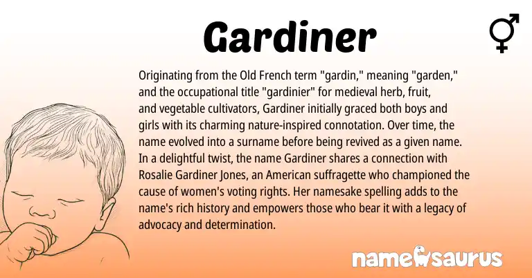 Infographic about Gardiner name meaning, Gardiner is a name from American, Old French origin(s).