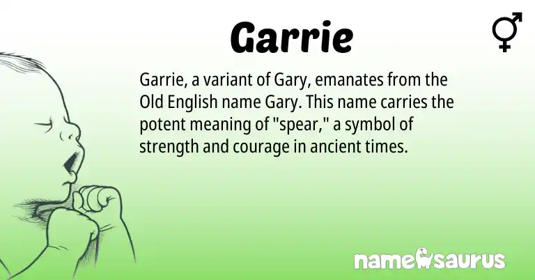 Infographic about Garrie name meaning, Garrie is a name from Old English origin(s).