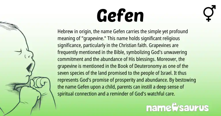 Infographic about Gefen name meaning, Gefen is a name from Hebrew origin(s).