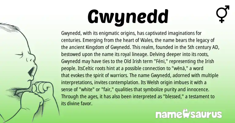 Infographic about Gwynedd name meaning, Gwynedd is a name from Irish, Welsh, Old Irish origin(s).