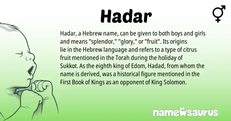 Infographic about Hadar name meaning, Hadar is a name from Torah, Hebrew origin(s).
