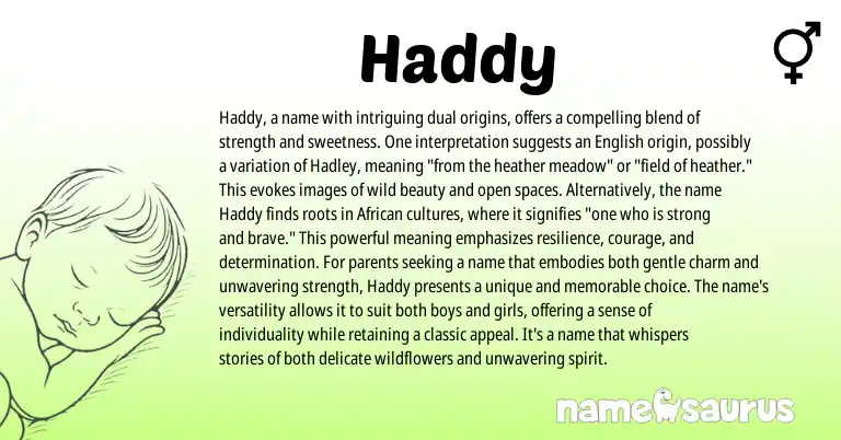 Infographic about Haddy name meaning, Haddy is a name from English, African origin(s).