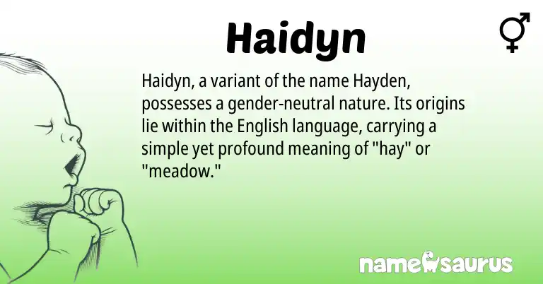Infographic about Haidyn name meaning, Haidyn is a name from English origin(s).