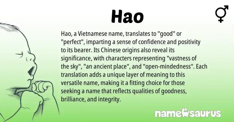 Infographic about Hao name meaning, Hao is a name from Chinese, Vietnamese origin(s).