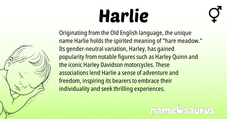 Infographic about Harlie name meaning, Harlie is a name from Old English origin(s).