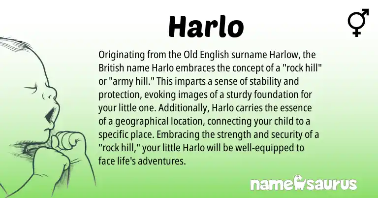 Infographic about Harlo name meaning, Harlo is a name from Old English, British origin(s).