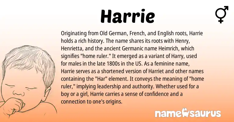Infographic about Harrie name meaning, Harrie is a name from Old German, English, French, Germanic origin(s).