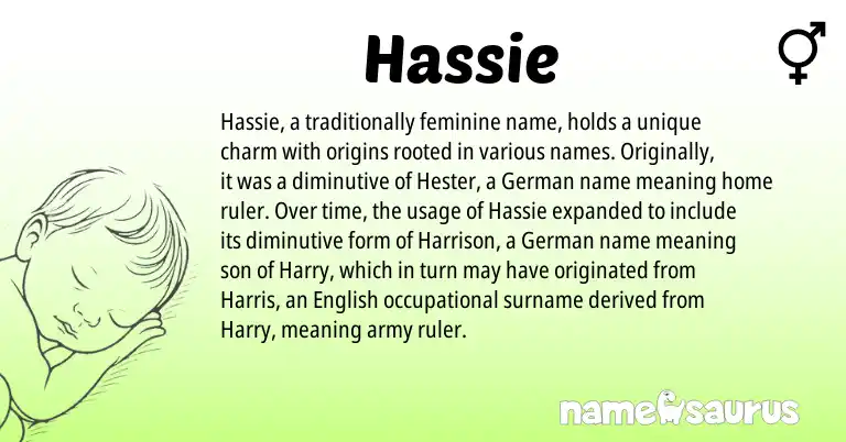 Infographic about Hassie name meaning, Hassie is a name from German, English origin(s).