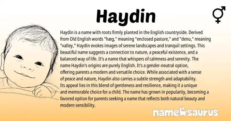 Infographic about Haydin name meaning, Haydin is a name from English origin(s).