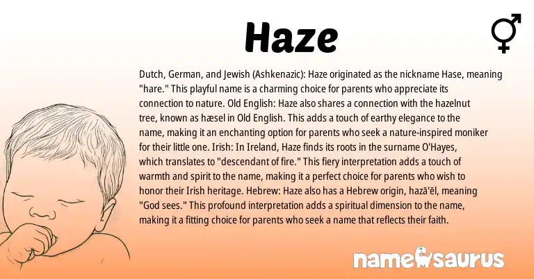 Infographic about Haze name meaning, Haze is a name from Irish, Jewish, Ireland, Old English, German, Dutch, Hebrew origin(s).