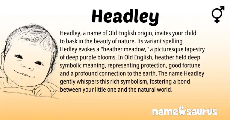 Infographic about Headley name meaning, Headley is a name from Old English origin(s).