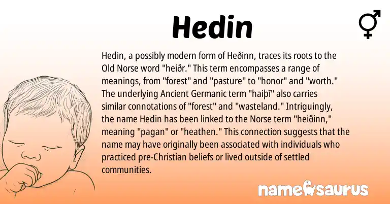 Infographic about Hedin name meaning, Hedin is a name from Old Norse, Ancient Germanic, Norse origin(s).