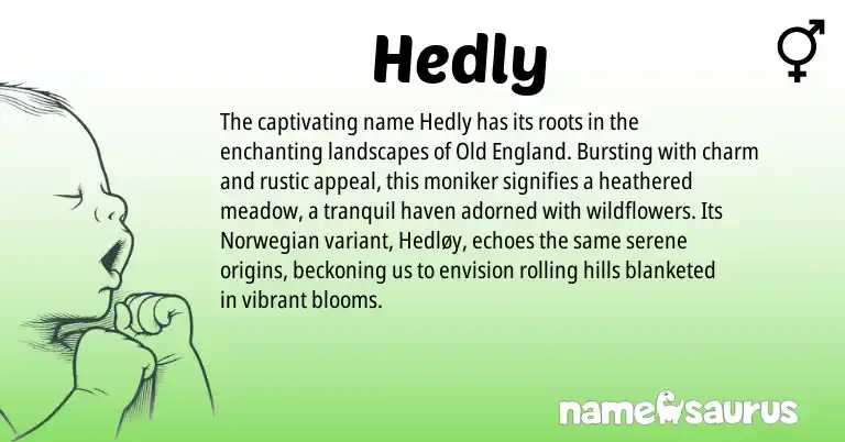 Infographic about Hedly name meaning, Hedly is a name from Norwegian, England origin(s).