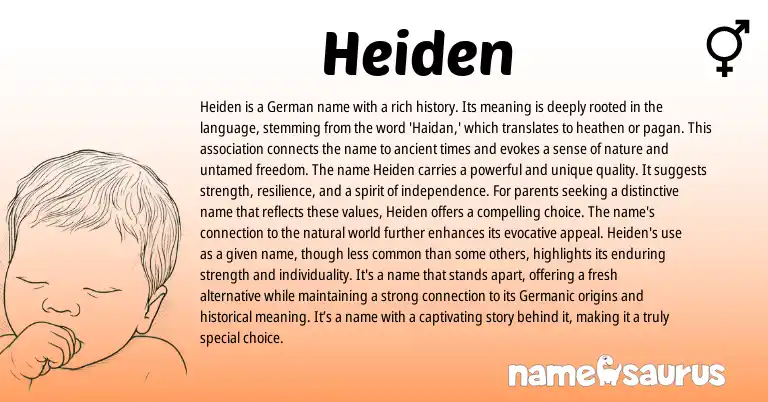Infographic about Heiden name meaning, Heiden is a name from German, Germanic origin(s).