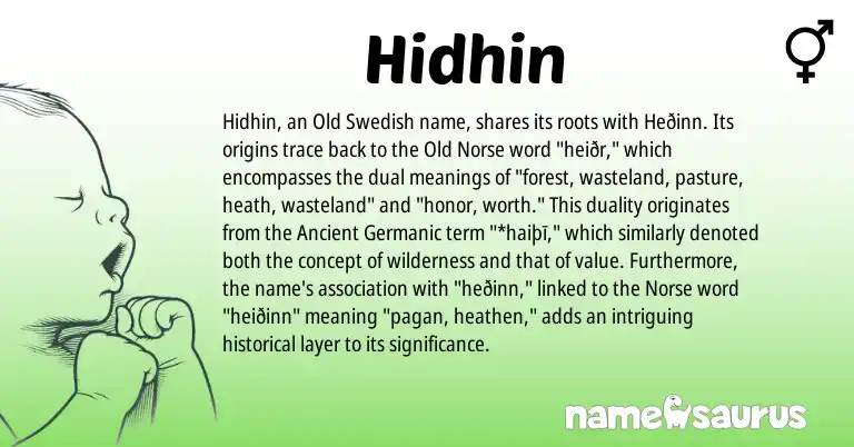Infographic about Hidhin name meaning, Hidhin is a name from Old Norse, Old Swedish, Ancient Germanic, Norse origin(s).