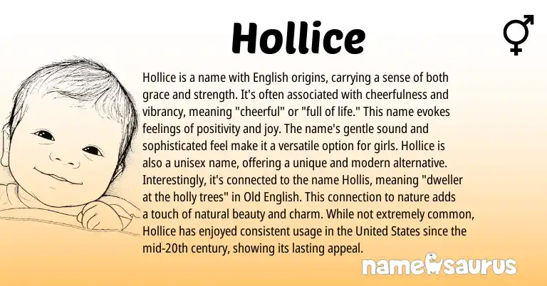 Infographic about Hollice name meaning, Hollice is a name from English origin(s).