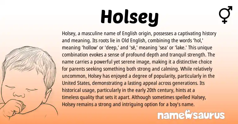 Infographic about Holsey name meaning, Holsey is a name from English origin(s).