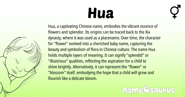 Infographic about Hua name meaning, Hua is a name from Chinese origin(s).