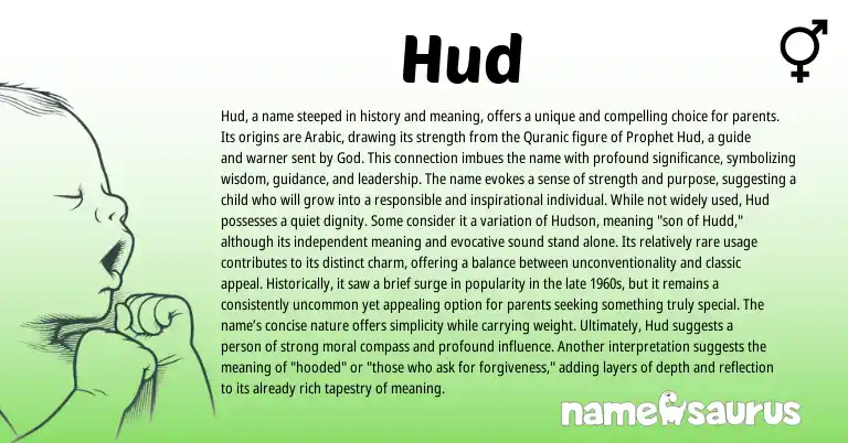 Infographic about Hud name meaning, Hud is a name from Arabic origin(s).