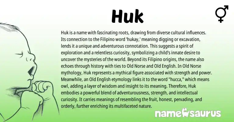 Infographic about Huk name meaning, Huk is a name from English, Filipino origin(s).