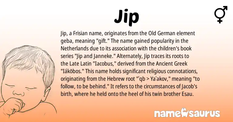 Infographic about Jip name meaning, Jip is a name from Ancient Greek, Late Latin, Netherlands, Frisian, Old German, Hebrew origin(s).