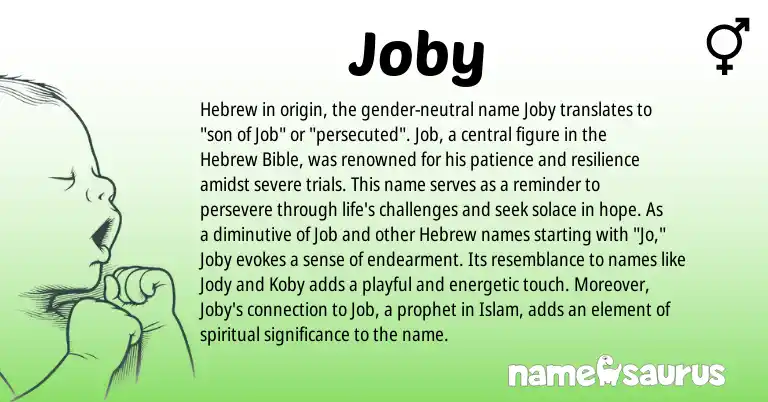 Infographic about Joby name meaning, Joby is a name from Hebrew origin(s).