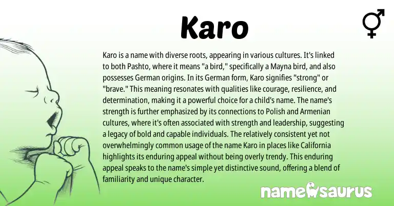 Infographic about Karo name meaning, Karo is a name from German, Armenian, Germanic origin(s).