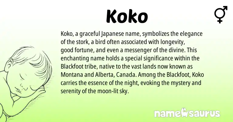 Infographic about Koko name meaning, Koko is a name from Blackfoot, Japanese origin(s).