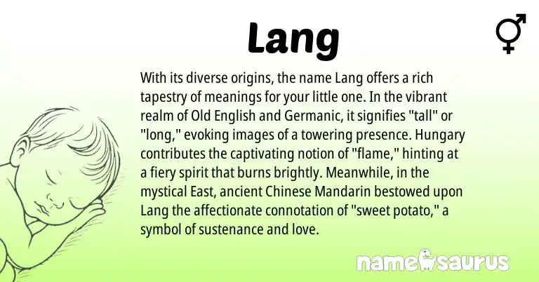 Infographic about Lang name meaning, Lang is a name from Chinese, Old English, Germanic origin(s).