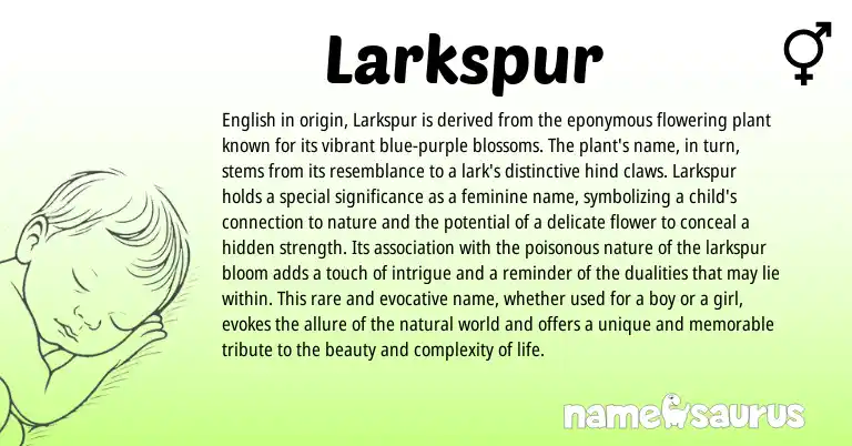 Infographic about Larkspur name meaning, Larkspur is a name from English origin(s).