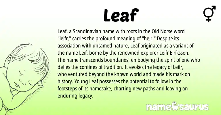 Infographic about Leaf name meaning, Leaf is a name from Scandinavian, Old Norse origin(s).