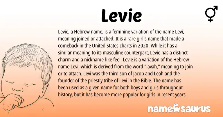Infographic about Levie name meaning, Levie is a name from Hebrew, United States origin(s).