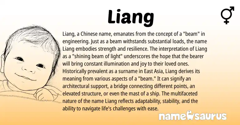 Infographic about Liang name meaning, Liang is a name from Chinese origin(s).