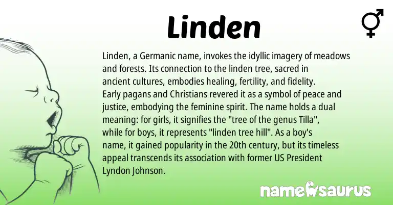 Infographic about Linden name meaning, Linden is a name from Germanic origin(s).