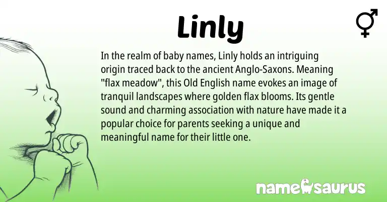 Infographic about Linly name meaning, Linly is a name from Old English origin(s).
