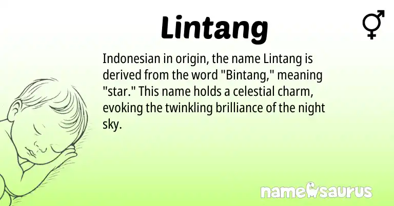 Infographic about Lintang name meaning, Lintang is a name from Indonesian origin(s).