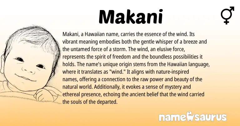 Infographic about Makani name meaning, Makani is a name from Hawaiian origin(s).