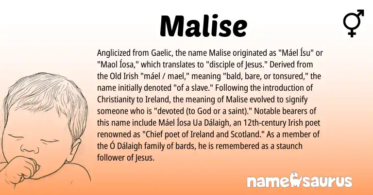 Infographic about Malise name meaning, Malise is a name from Irish, Christianity, Ireland, Gaelic, Old Irish origin(s).