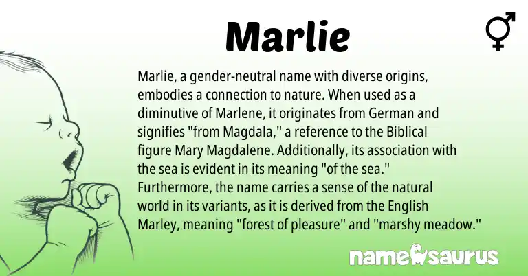 Infographic about Marlie name meaning, Marlie is a name from German, English origin(s).