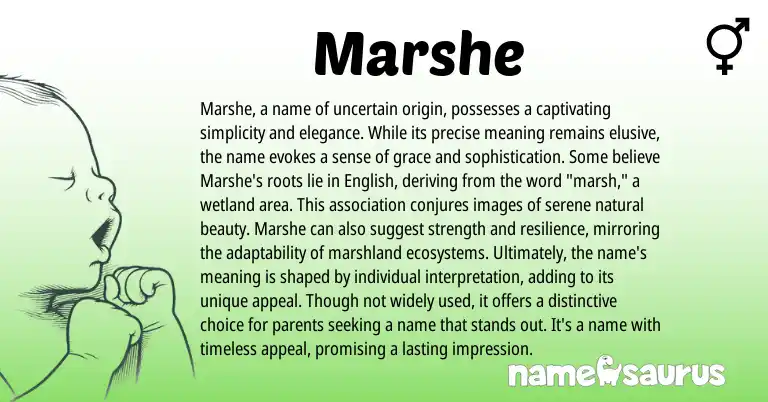 Infographic about Marshe name meaning, Marshe is a name from Latin origin(s).