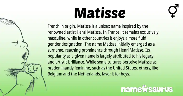 Infographic about Matisse name meaning, Matisse is a name from Netherlands, French, United States origin(s).