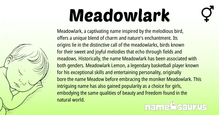 Infographic about Meadowlark name meaning, Meadowlark is a name from N/A origin(s).