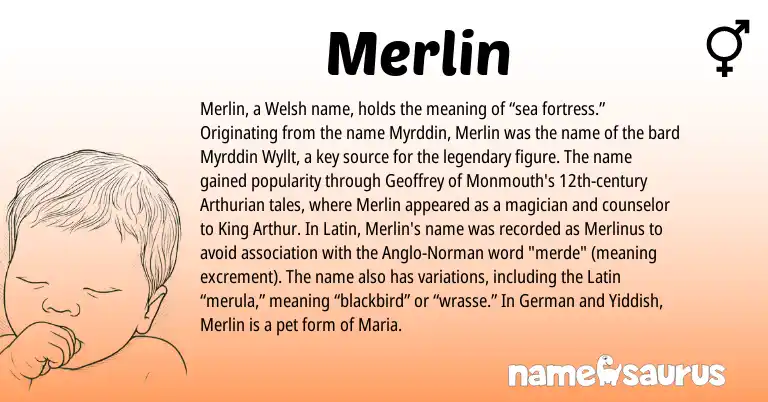 Infographic about Merlin name meaning, Merlin is a name from Welsh, Arthurian, Latin, Anglo-Norman, German, Yiddish origin(s).