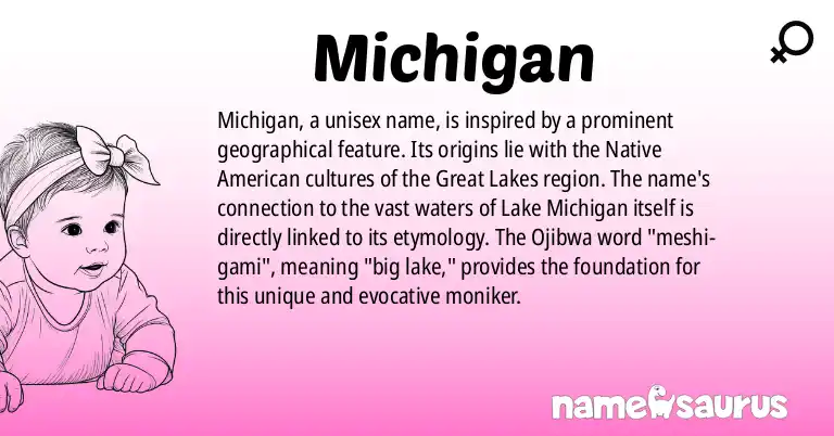 Infographic about Michigan name meaning, Michigan is a name from Native American origin(s).