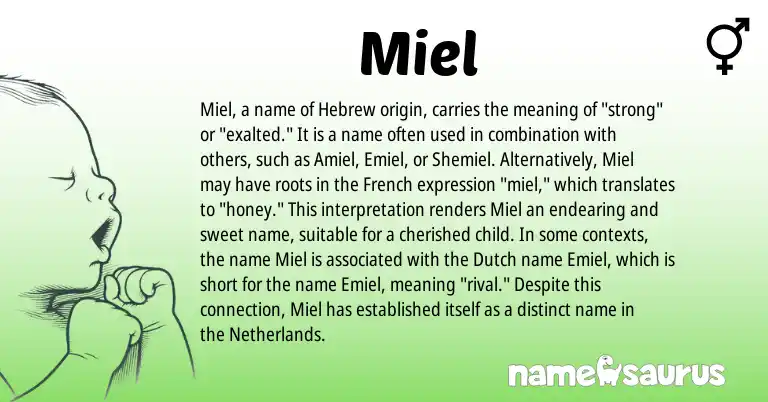 Infographic about Miel name meaning, Miel is a name from Netherlands, Dutch, French, Hebrew origin(s).