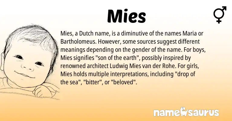 Infographic about Mies name meaning, Mies is a name from Dutch origin(s).