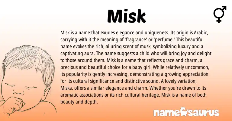 Infographic about Misk name meaning, Misk is a name from Arabic origin(s).