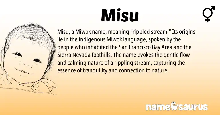 Infographic about Misu name meaning, Misu is a name from Miwok origin(s).