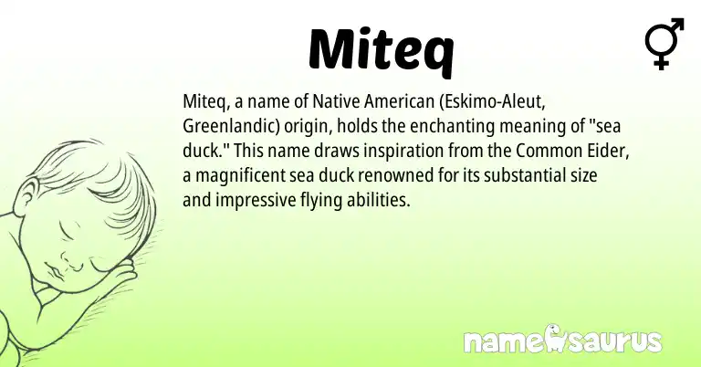Infographic about Miteq name meaning, Miteq is a name from Native American, Aleut, Greenlandic origin(s).